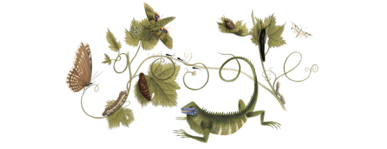 Maria Sibylla Merian's 366th birthday